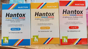 Hantox 500mg injection 1 Vial